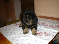 /album/anabel/anabel-4100-jpg/